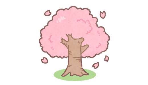 お花見しました！🌸